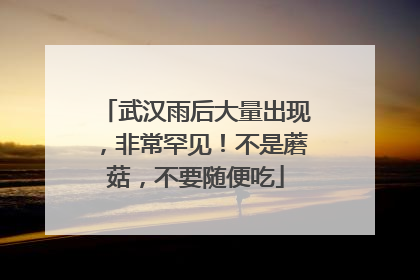 武汉雨后大量出现，非常罕见！不是蘑菇，不要随便吃