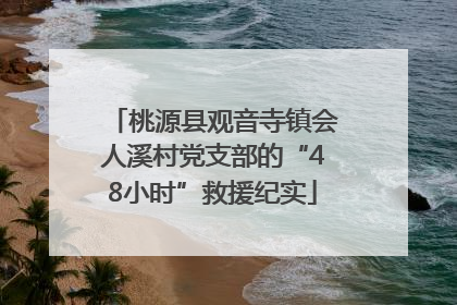 桃源县观音寺镇会人溪村党支部的“48小时”救援纪实