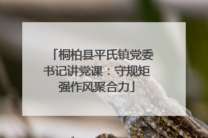 桐柏县平氏镇党委书记讲党课：守规矩强作风聚合力