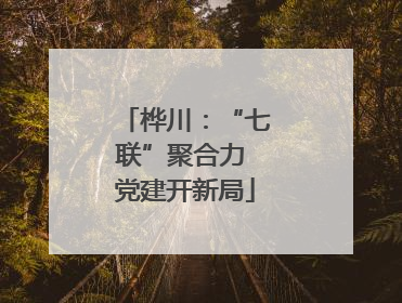 桦川：“七联”聚合力 党建开新局