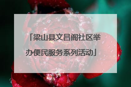 梁山县文昌阁社区举办便民服务系列活动