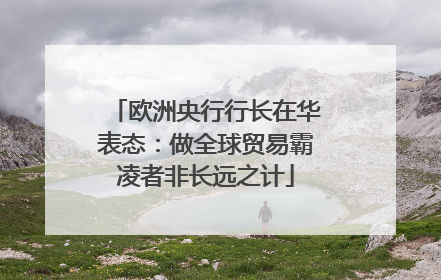 欧洲央行行长在华表态：做全球贸易霸凌者非长远之计