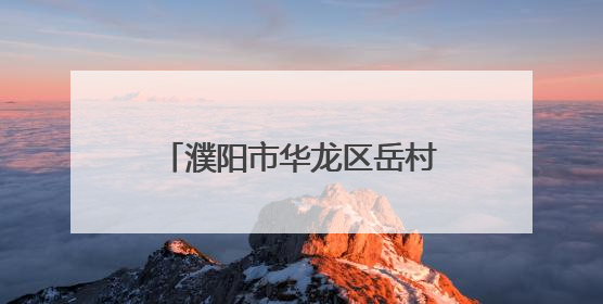 濮阳市华龙区岳村镇人大代表一线助力粮食安全保卫战