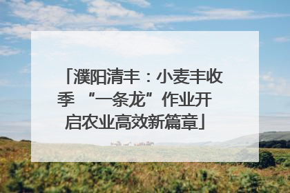 濮阳清丰：小麦丰收季 “一条龙”作业开启农业高效新篇章