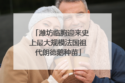 潍坊临朐迎来史上最大规模法国祖代朗德鹅种苗