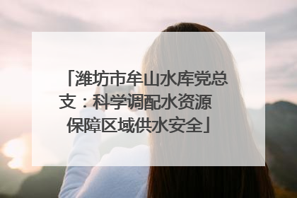 潍坊市牟山水库党总支：科学调配水资源 保障区域供水安全