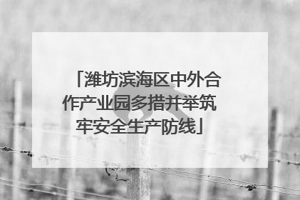 潍坊滨海区中外合作产业园多措并举筑牢安全生产防线