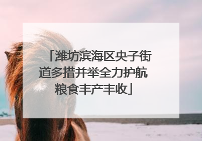 潍坊滨海区央子街道多措并举全力护航粮食丰产丰收