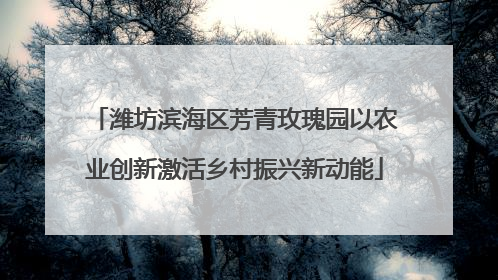 潍坊滨海区芳青玫瑰园以农业创新激活乡村振兴新动能