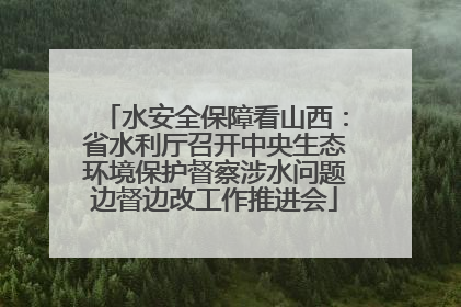 水安全保障看山西：省水利厅召开中央生态环境保护督察涉水问题边督边改工作推进会