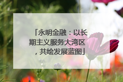 永明金融：以长期主义服务大湾区，共绘发展蓝图