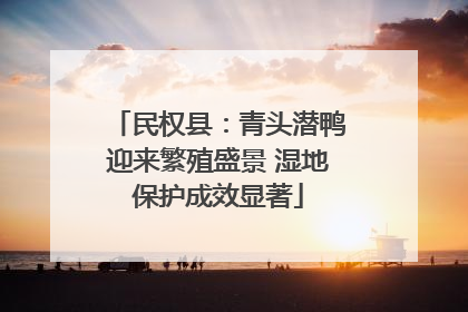 民权县：青头潜鸭迎来繁殖盛景 湿地保护成效显著