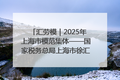 汇劳模｜2025年上海市模范集体——国家税务总局上海市徐汇区税务局第一税务所