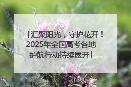 汇聚阳光，守护花开！2025年全国高考各地护航行动持续展开