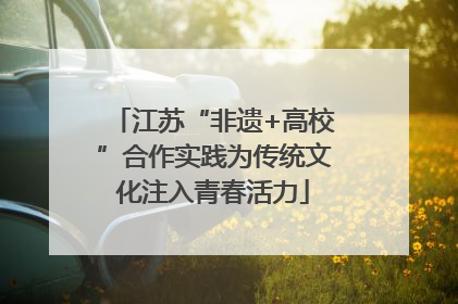 江苏“非遗+高校”合作实践为传统文化注入青春活力
