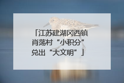 江苏建湖冈西镇肖荡村“小积分”兑出“大文明”