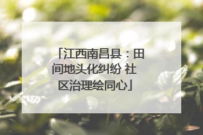 江西南昌县：田间地头化纠纷 社区治理绘同心