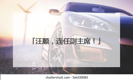 汪顺，连任副主席！