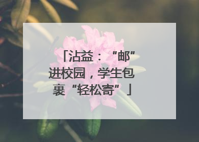 沾益：“邮”进校园，学生包裹“轻松寄”
