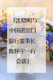 沈晓明与中国进出口银行董事长陈怀宇一行会谈