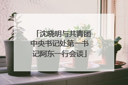 沈晓明与共青团中央书记处第一书记阿东一行会谈