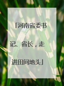 河南省委书记、省长，走进田间地头