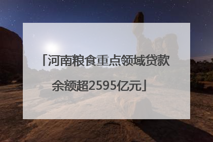 河南粮食重点领域贷款余额超2595亿元