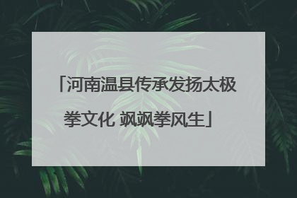 河南温县传承发扬太极拳文化 飒飒拳风生