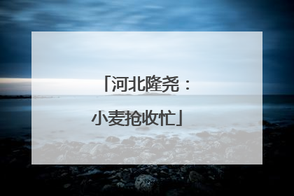 河北隆尧：小麦抢收忙