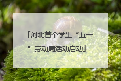 河北首个学生“五一”劳动周活动启动