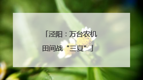 泾阳：万台农机田间战“三夏”