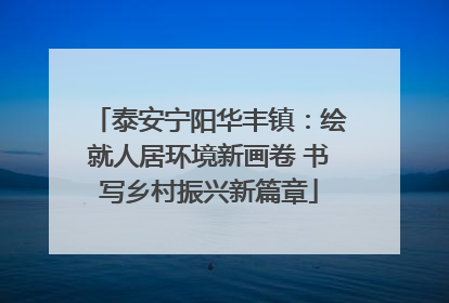 泰安宁阳华丰镇：绘就人居环境新画卷 书写乡村振兴新篇章