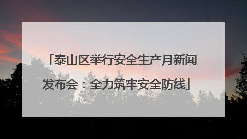 泰山区举行安全生产月新闻发布会：全力筑牢安全防线