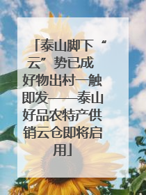 泰山脚下“云”势已成 好物出村一触即发——泰山好品农特产供销云仓即将启用