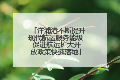 洋浦港不断提升现代航运服务能级 促进航运扩大开放政策快速落地