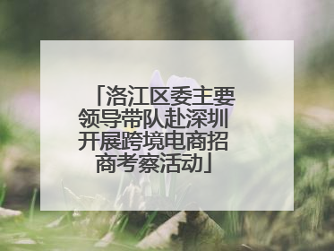洛江区委主要领导带队赴深圳开展跨境电商招商考察活动