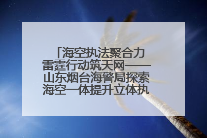 海空执法聚合力 雷霆行动筑天网——山东烟台海警局探索海空一体提升立体执法效能纪实