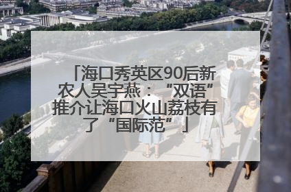 海口秀英区90后新农人吴宇燕：“双语”推介让海口火山荔枝有了“国际范”
