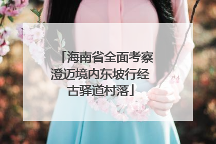 海南省全面考察澄迈境内东坡行经古驿道村落