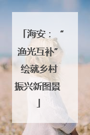 海安：“渔光互补” 绘就乡村振兴新图景