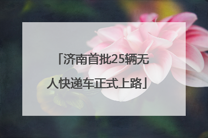 济南首批25辆无人快递车正式上路