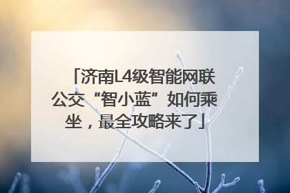 济南L4级智能网联公交“智小蓝”如何乘坐，最全攻略来了