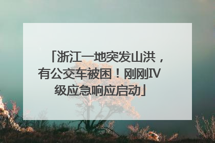 浙江一地突发山洪，有公交车被困！刚刚Ⅳ级应急响应启动