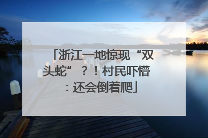 浙江一地惊现“双头蛇”？！村民吓懵：还会倒着爬