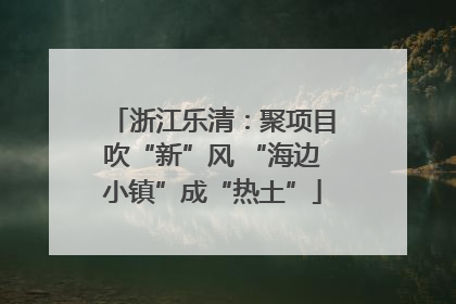 浙江乐清：聚项目吹“新”风 “海边小镇”成“热土”