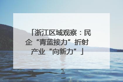浙江区域观察：民企“青蓝接力”折射产业“向新力”