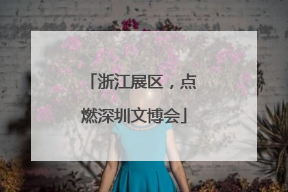 浙江展区，点燃深圳文博会