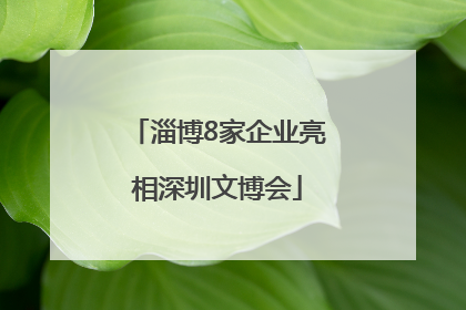 淄博8家企业亮相深圳文博会