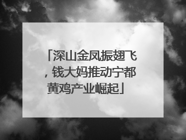 深山金凤振翅飞，钱大妈推动宁都黄鸡产业崛起