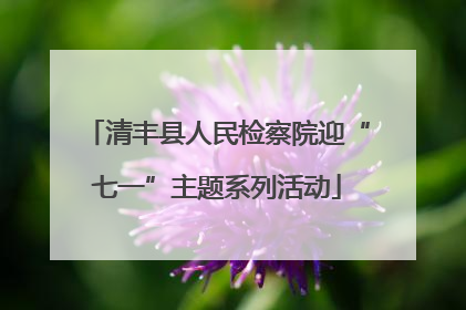 清丰县人民检察院迎“七一”主题系列活动